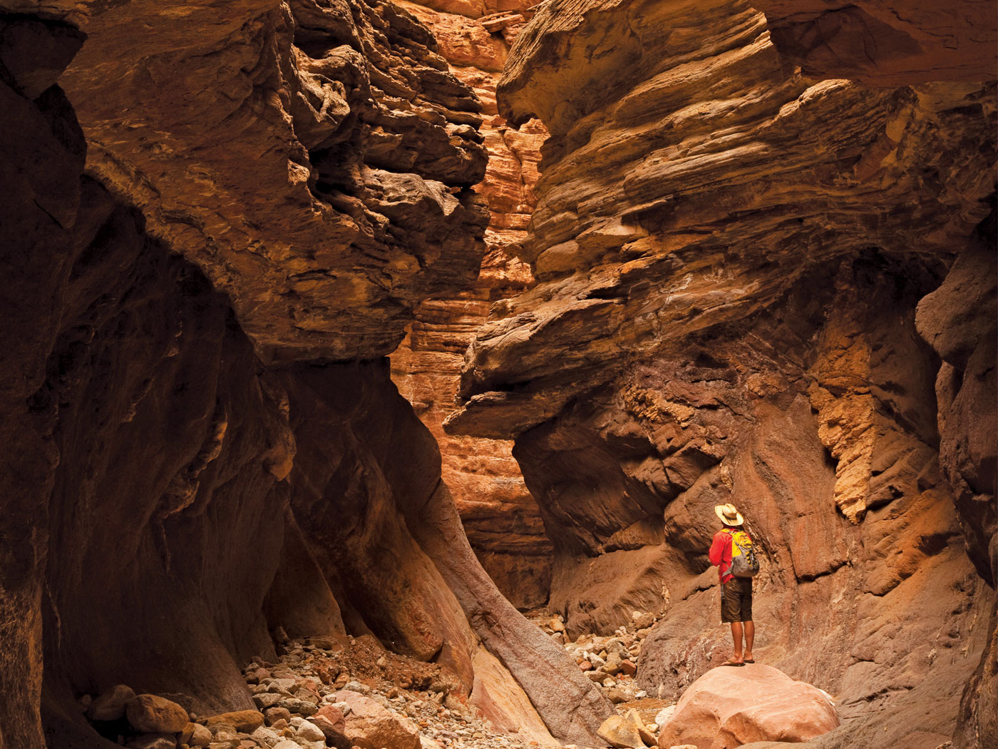 Assembling the PreFlood World The Institute for Creation Research